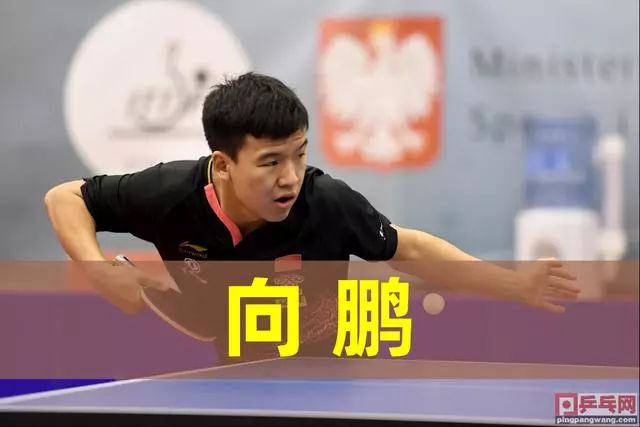 球员的崛起 球员的崛起