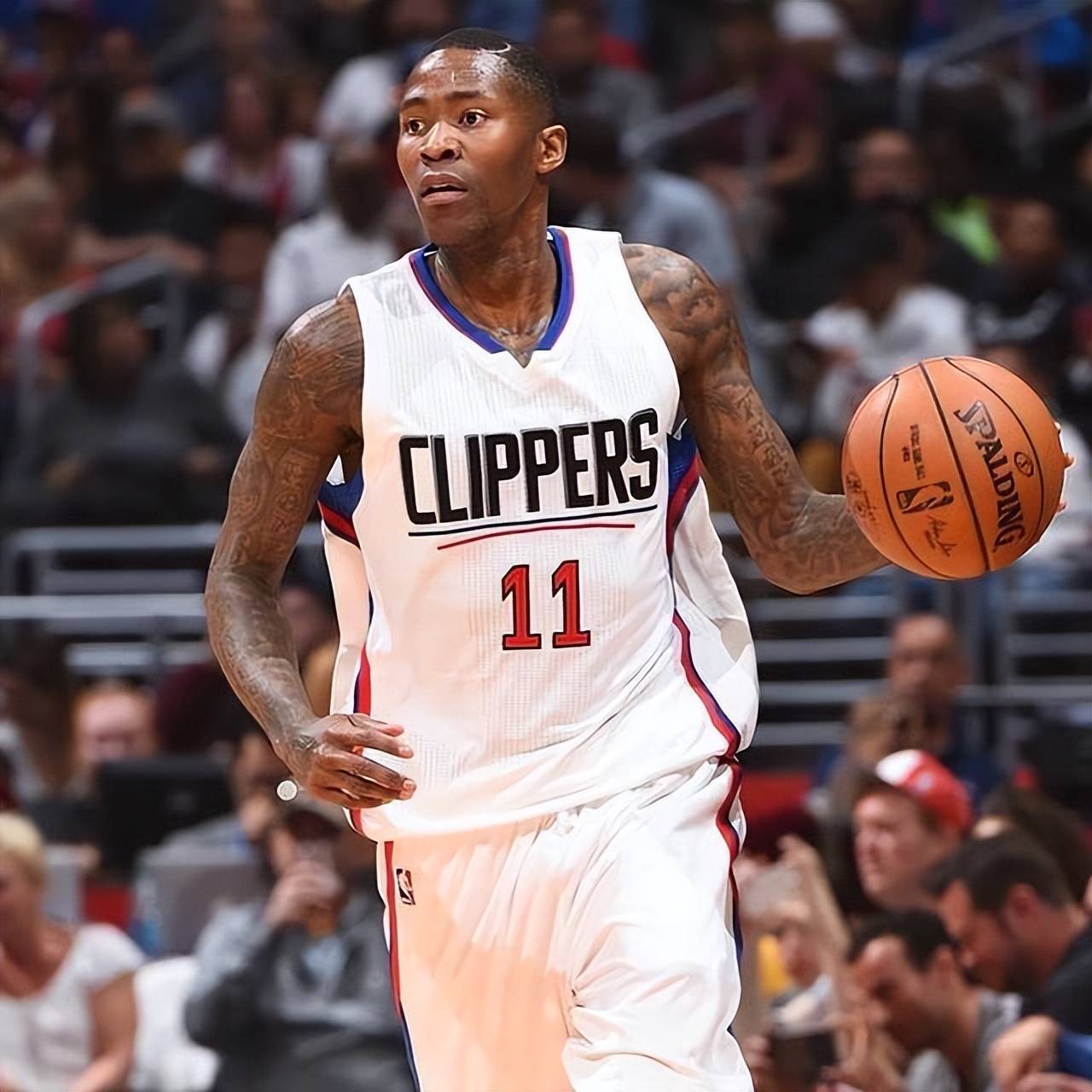 有专业背景 有专业背景