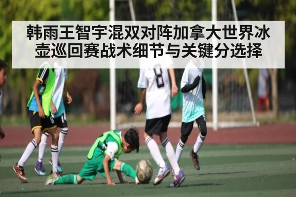 韩雨王智宇混双对阵加拿大世界冰壶巡回赛战术细节与关键分选择